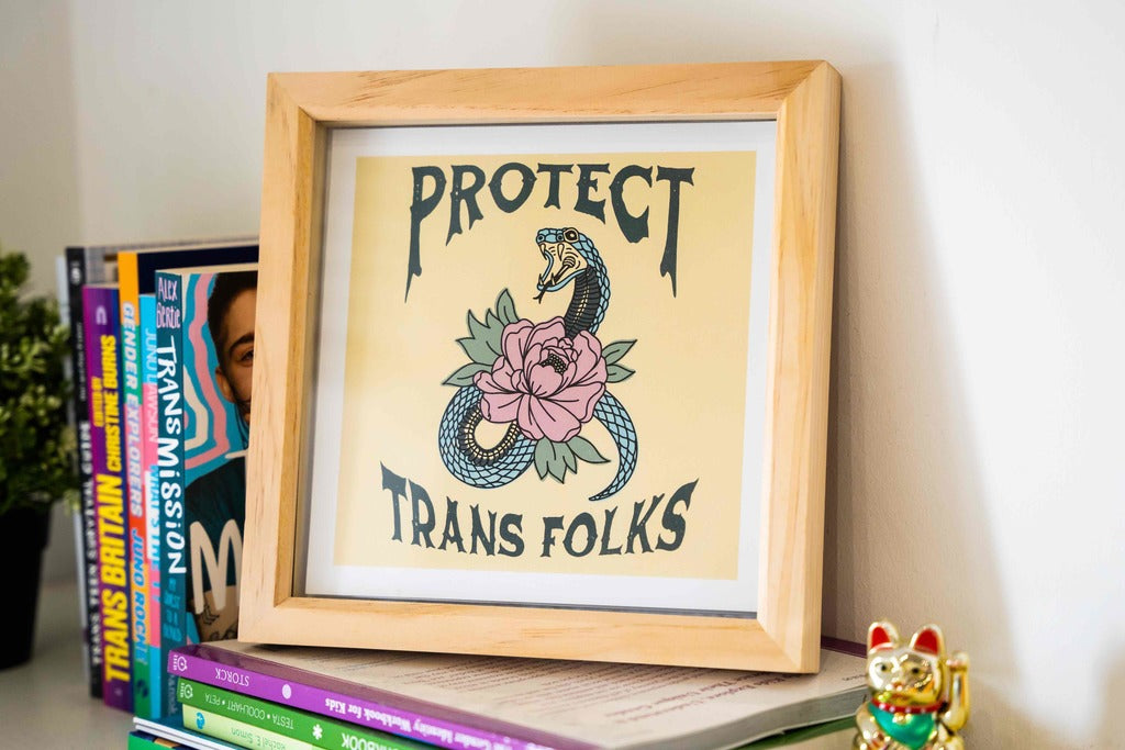 Framed artwork with a snake and flower design and text 'PROTECT TRANS FOLKS' on a shelf with books.